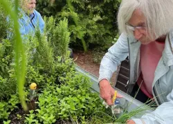 Seniorin bei der Gartenarbeit