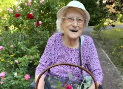 Frische Blumen aus dem Garten