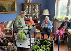 Soziale Betreuung – Gärtnern