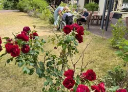 Entspannung im Garten